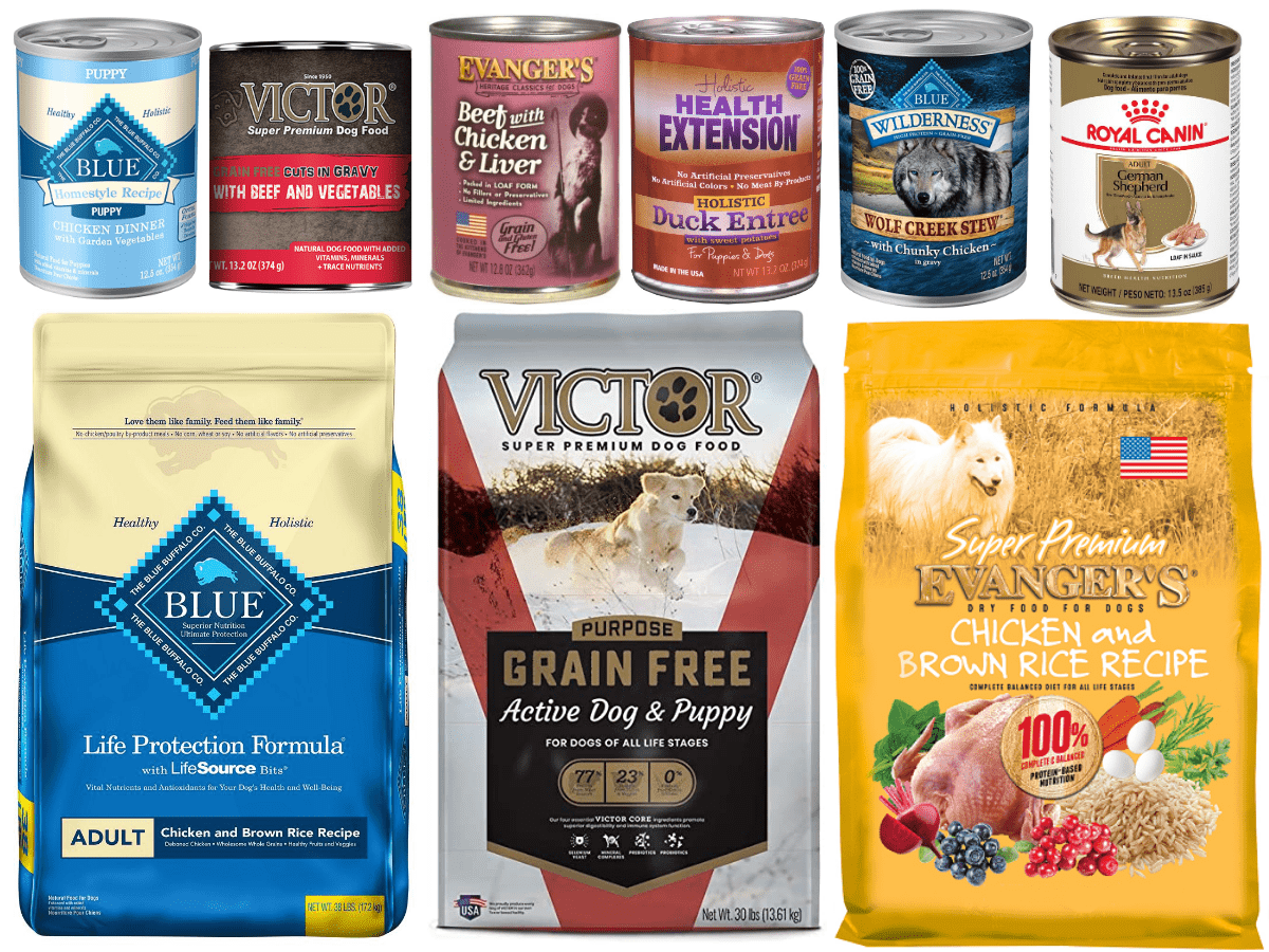 Puppies 2 Dogs Course 1